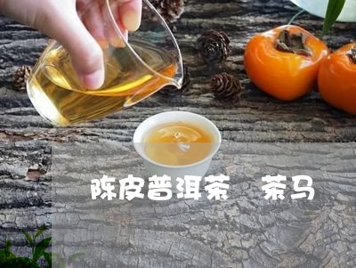 陈皮普洱茶 茶马/2023031706059